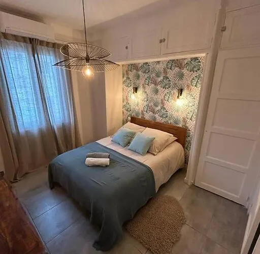 Appartement 2 Pieces Au Centre D'antibes. Antibes